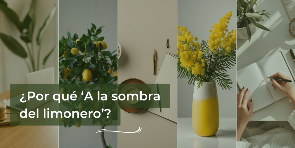 Blog Comunicación