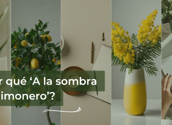 Blog Comunicación